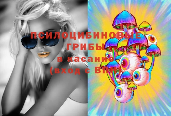 меф Алексин
