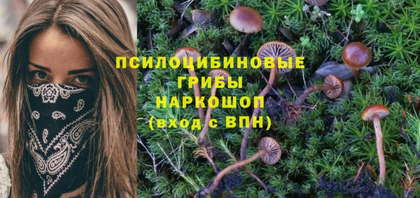 меф Алексин